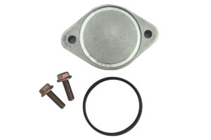 A metal plate with two bolts and one ring.
